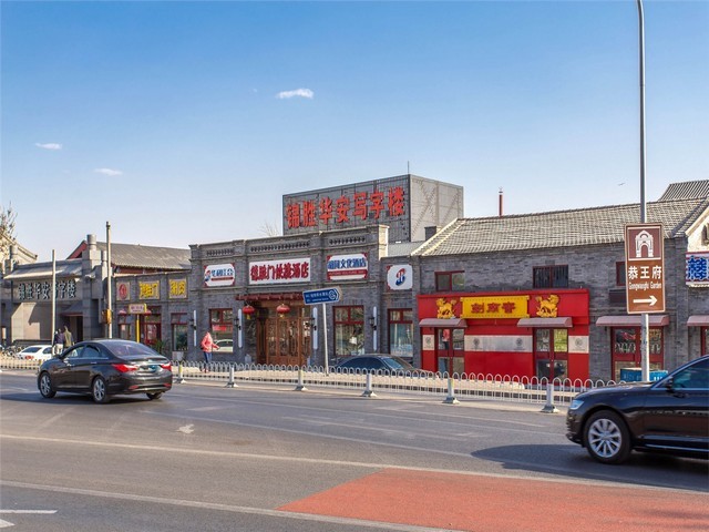 普陀区植物租赁联系方式