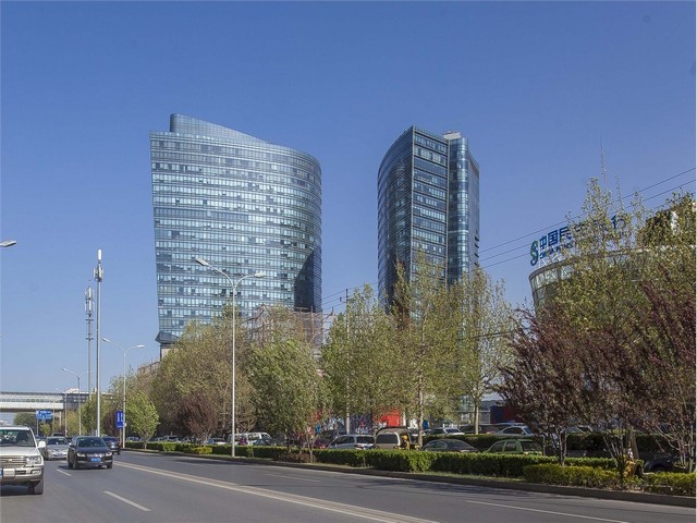 富源二代花魔芋种子哪家好